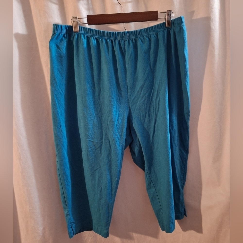 Roaman's Blue Cotton Pants